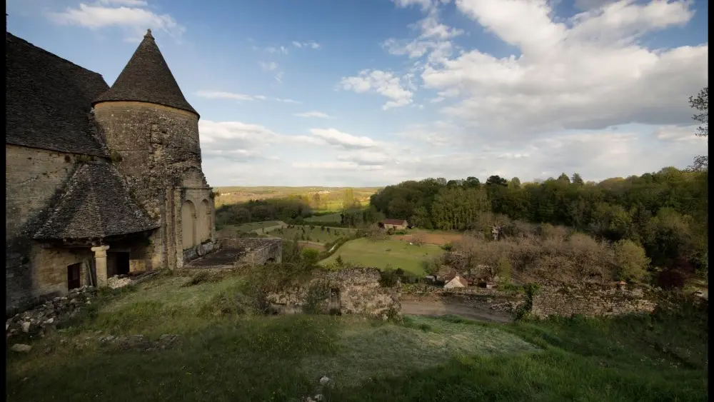 Chateau_de_Salignac (14)