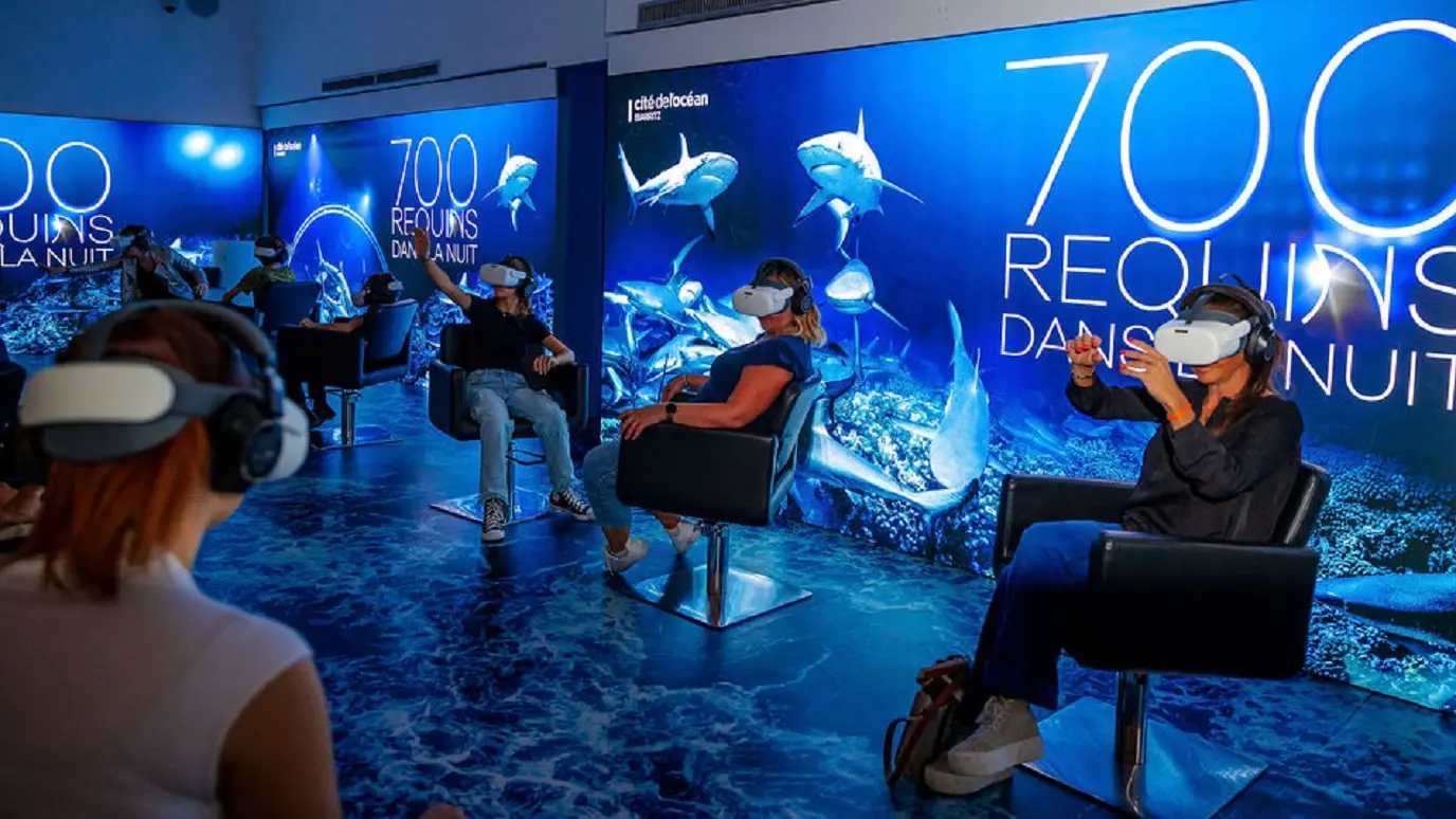 700 requins dans la nuit - Cité de l'ocean