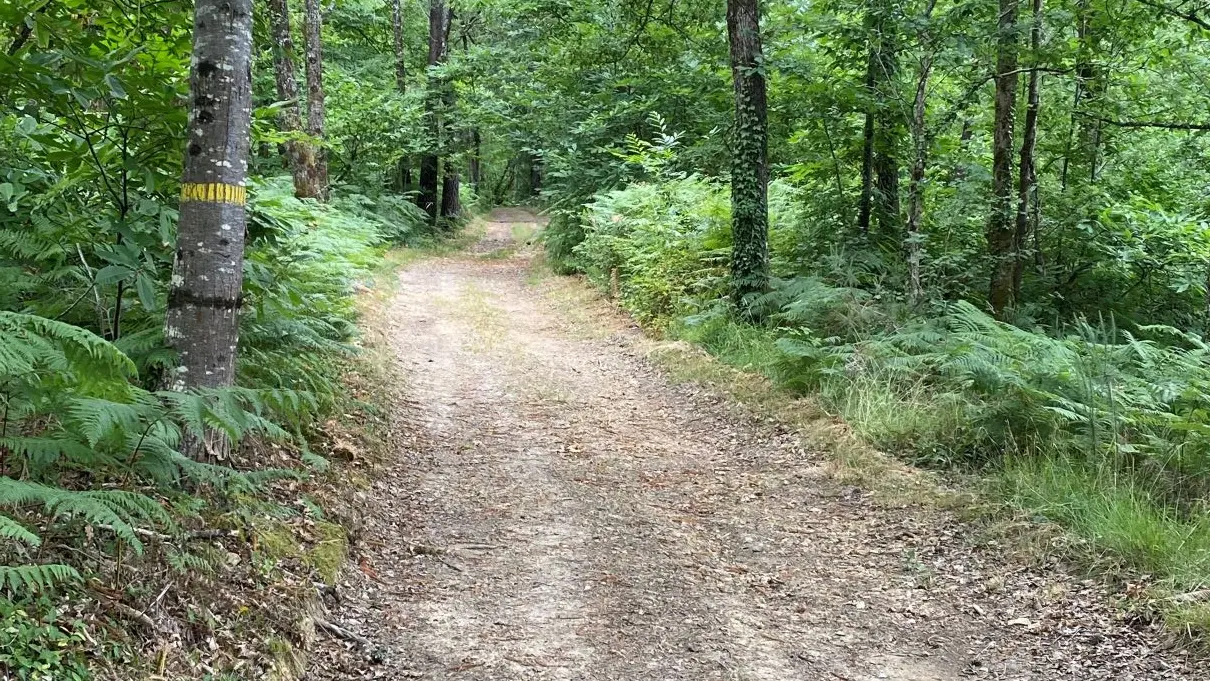 Circuit des Mottes Notre Dame de Sanilhac