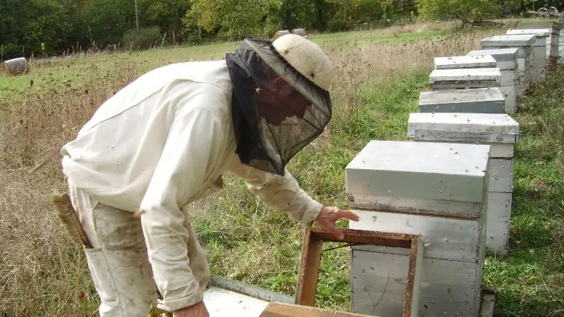 Apiculture Issac