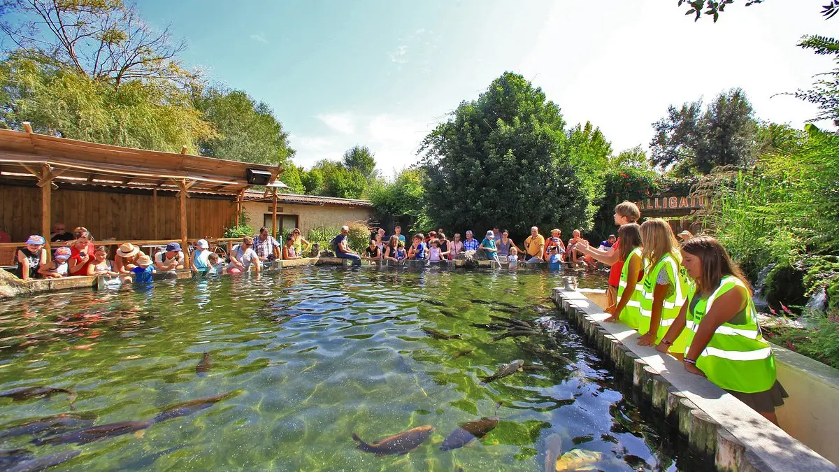 Aquarium-du-Perigord-Noir-3