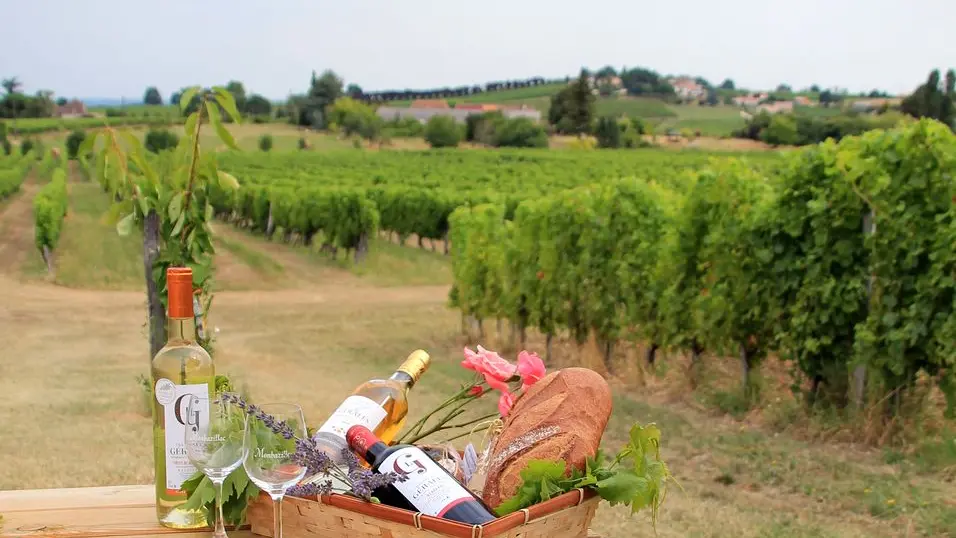 Autour de Monbazillac_Château Les Gérales (30)_3