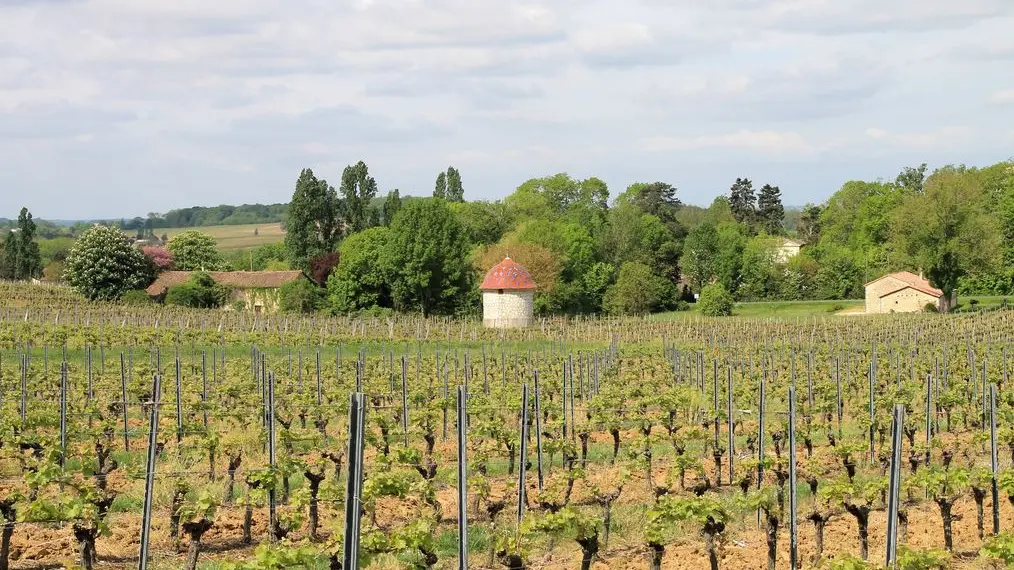 Autour de Monbazillac_Château malfourat (61)_2