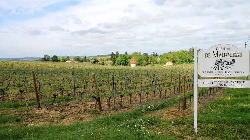 Autour de Monbazillac_Château malfourat (64)_2