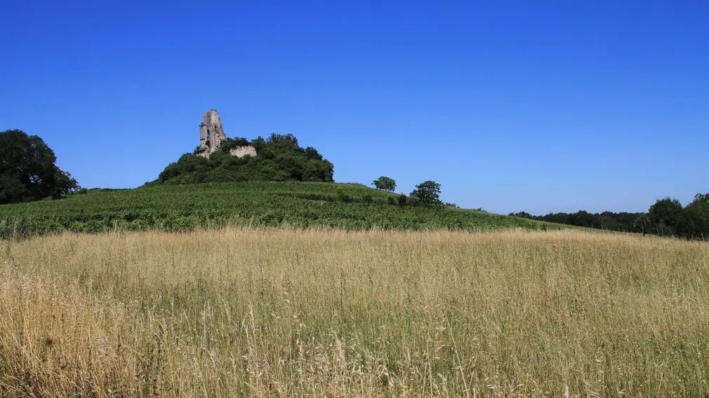 Autour de Vélines_Château de Gurson (13)_2