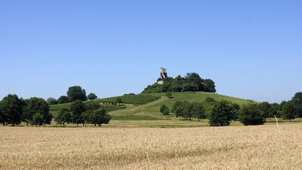 Autour de Vélines_Château de Gurson (5)_2