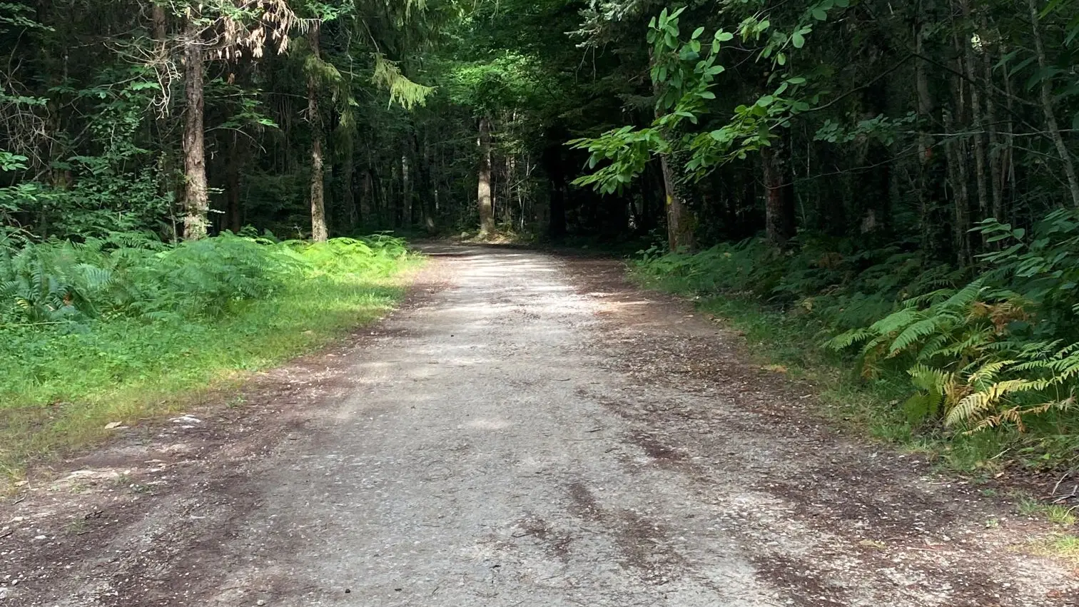 Boucle de la croix du rat Antonne et Trigonant2