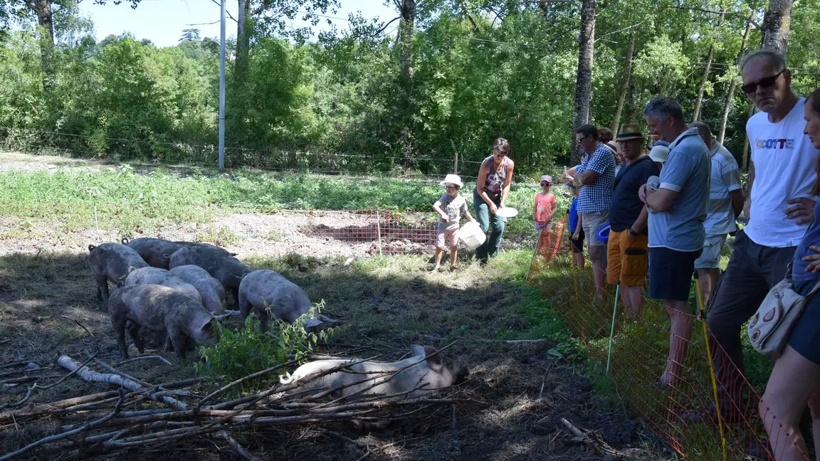 Gaec-des-charmes-St-Aquilin-visite