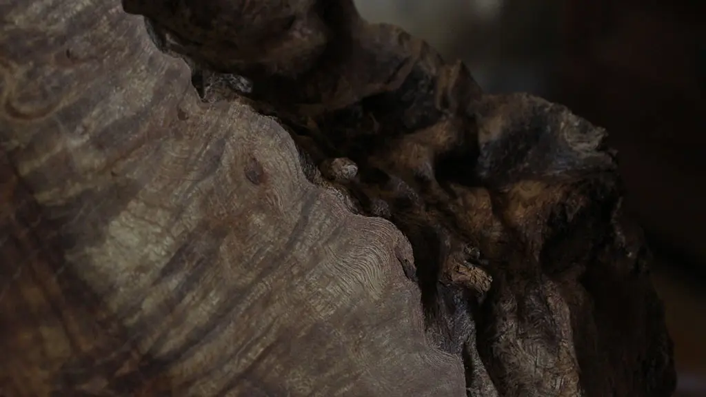 DETAILBOIS