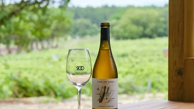 Cabane with a view_DomainedelaPointe_OTILAS