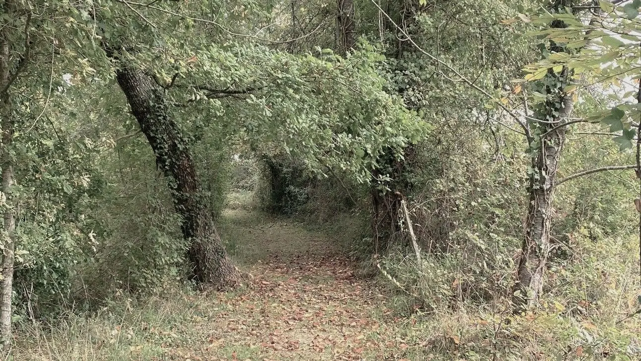 EGLISE-NEUVE-DE-VERGT-Boucle du Vallon-Chemin