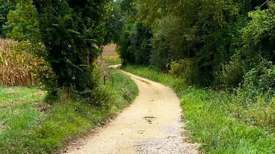 FOULEIX-Boucle des Moulins-Chemin