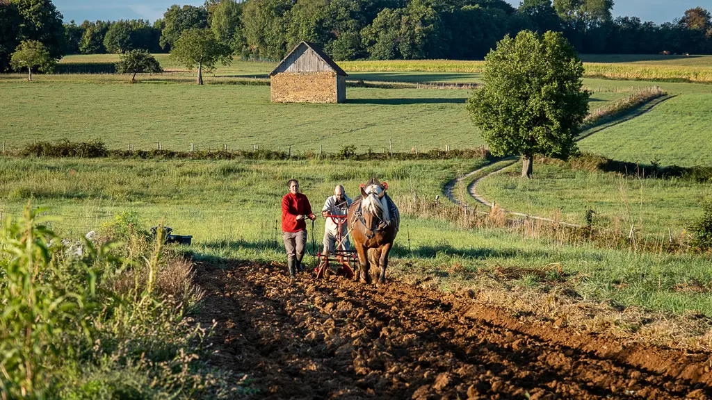 Ferme de Tourenne web-19