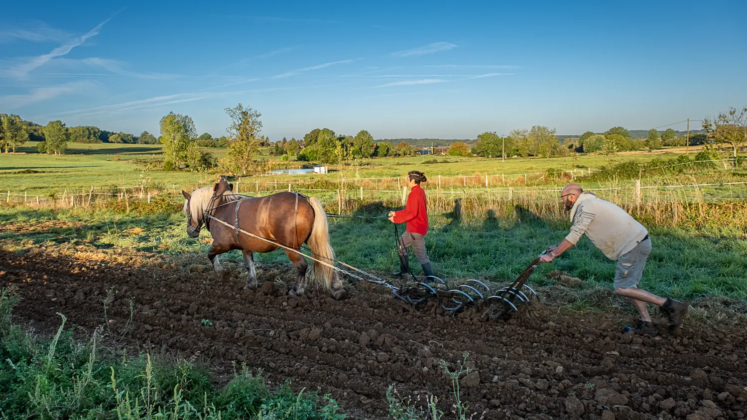 Ferme de Tourenne web-13
