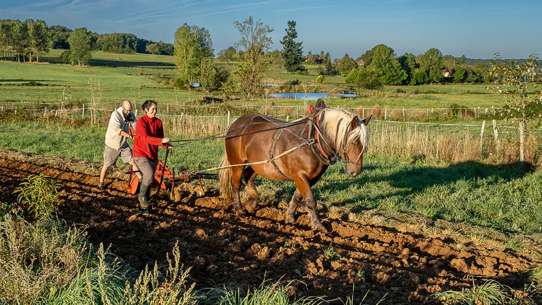 Ferme de Tourenne web-3
