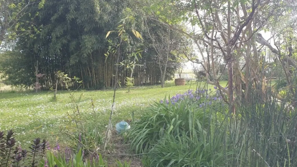 Laurède - Jardin de Termi