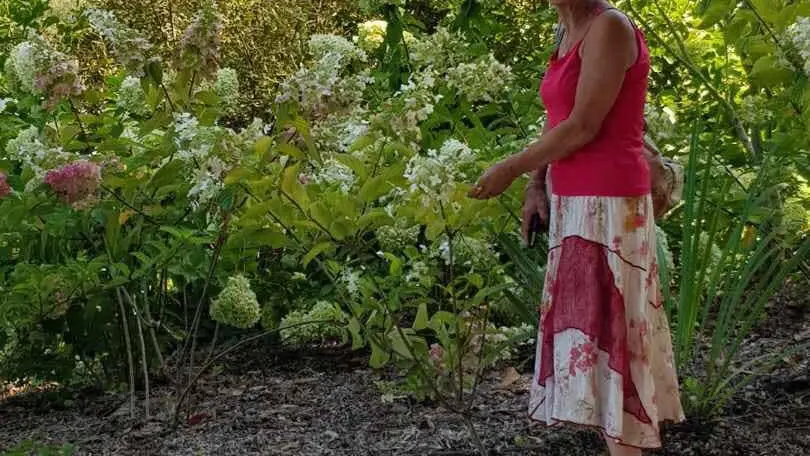 Greeter - Isidra VICENTE