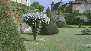 Issac - Jardins du Château de Montréal