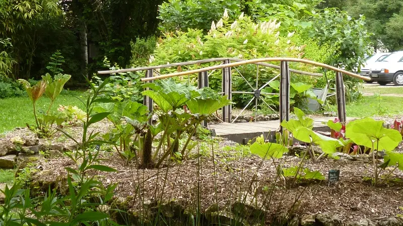 Jardin botanique d'ALAIJE Tourbière