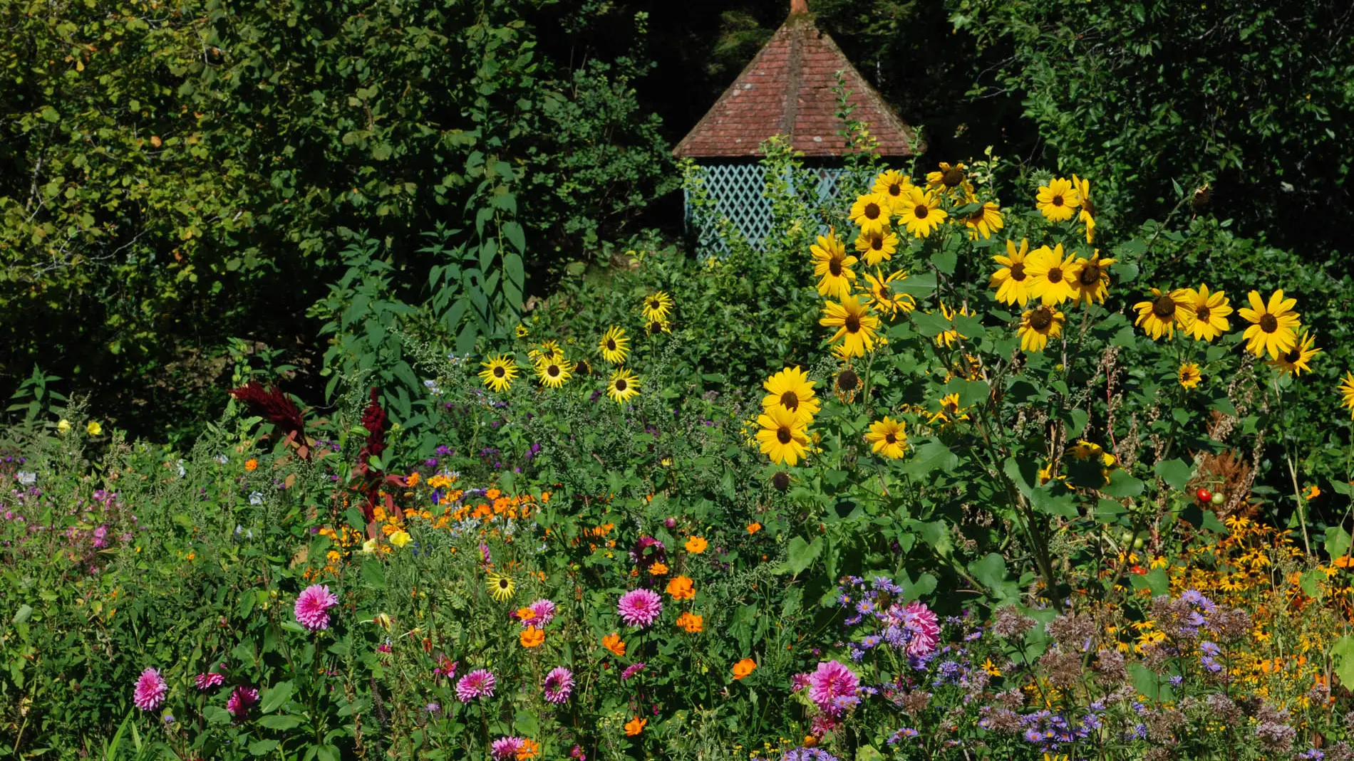 Jardins de l'Albarède     (1)