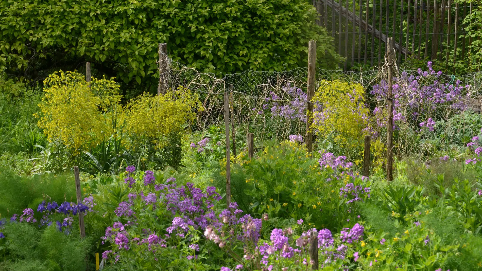 Jardins de l'Albarède     (4)