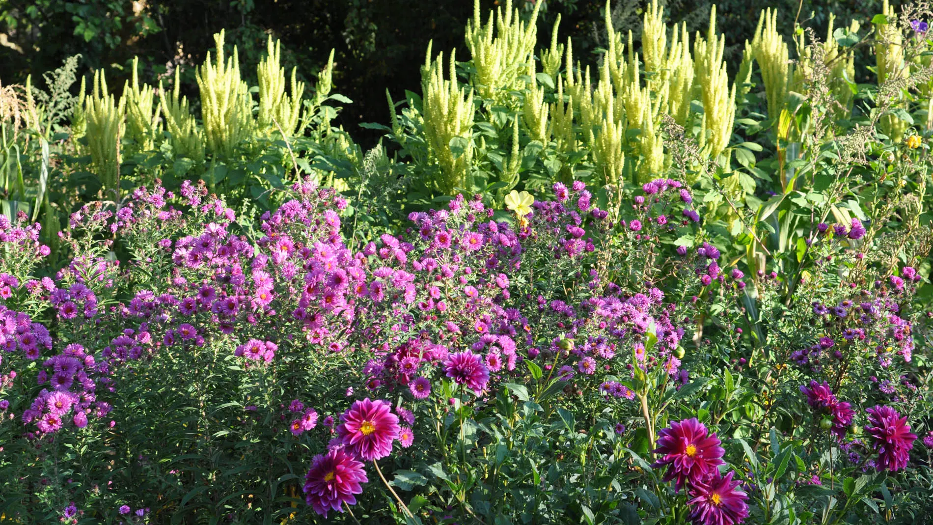 Jardins de l'Albarède    (11)