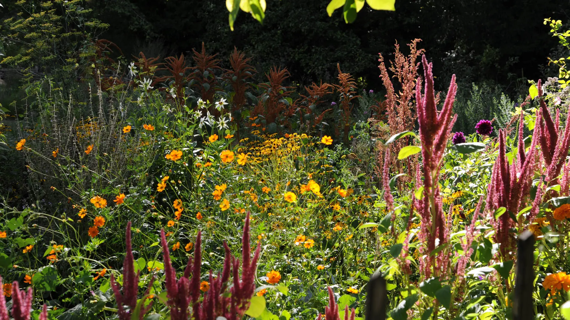 Jardins de l'Albarède    (12)