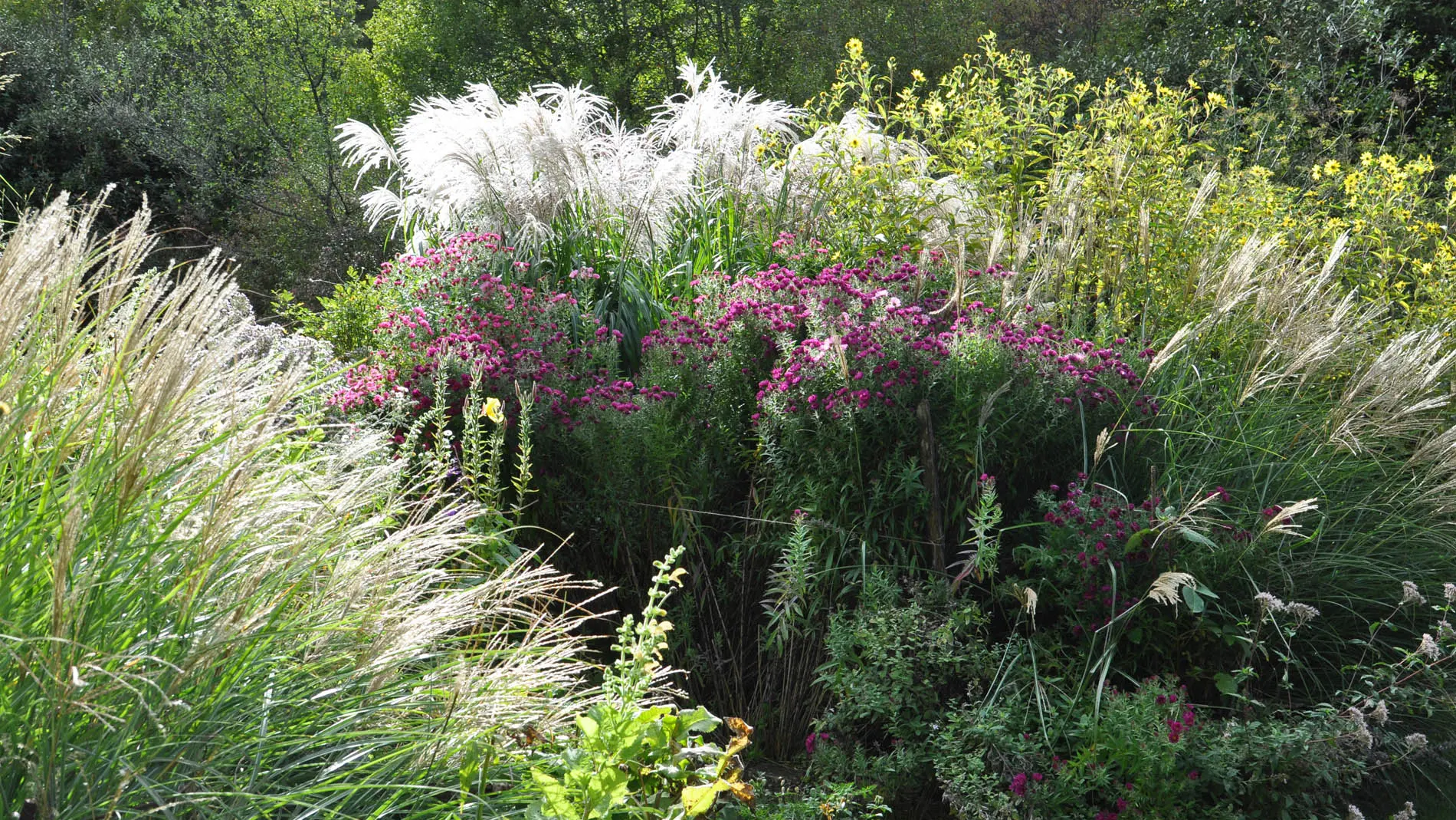 Jardins de l'Albarède    (13)