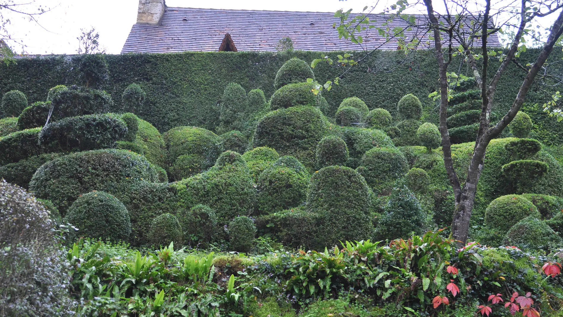 Jardins de l'Albarède    (16)