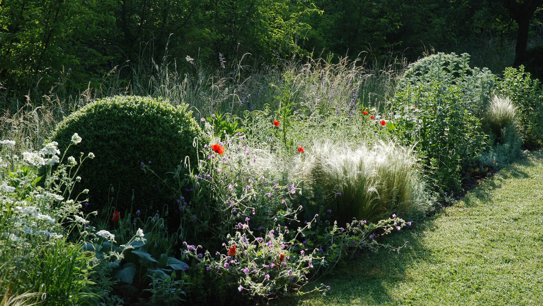 Jardins de l'Albarède    (3)