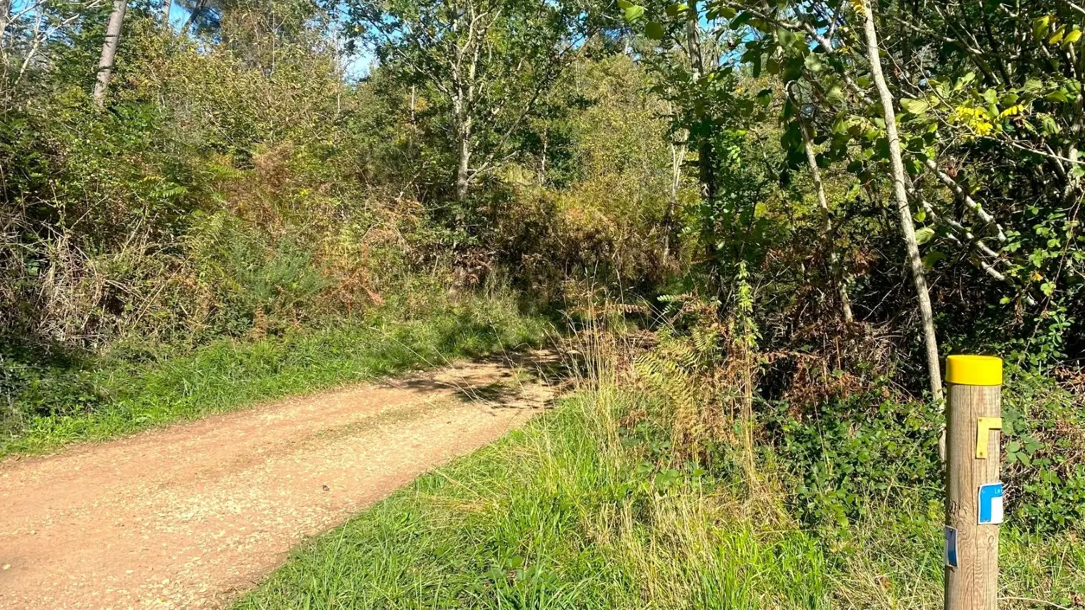 LA CHAPELLE-GONAGUET-Boucle de Merlande-Chemin-Poteau