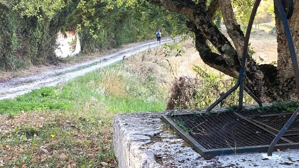 LA CHAPELLE-GONAGUET-Boucle des Brunies-Chemin-Randonneur