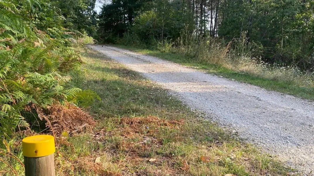 LA DOUZE-Boucle des Versannes-chemin