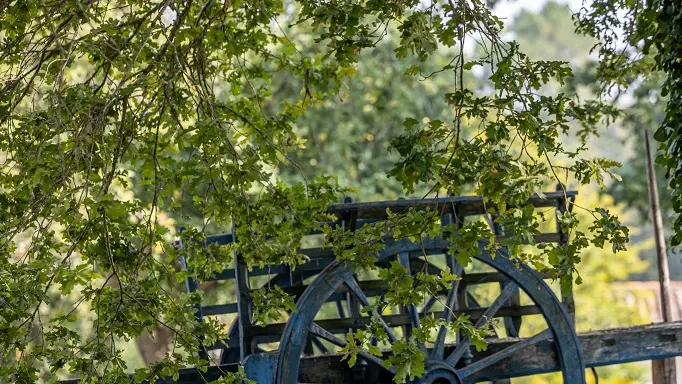 La Ferme du Parcot - un attelage