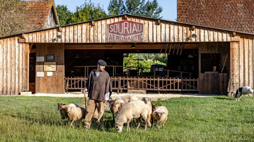 Le Berger et les moutons