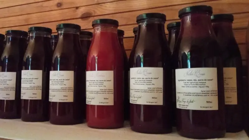 Le temps des fruits nectars