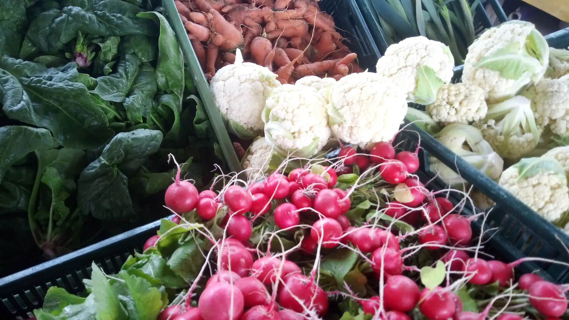 Légumes