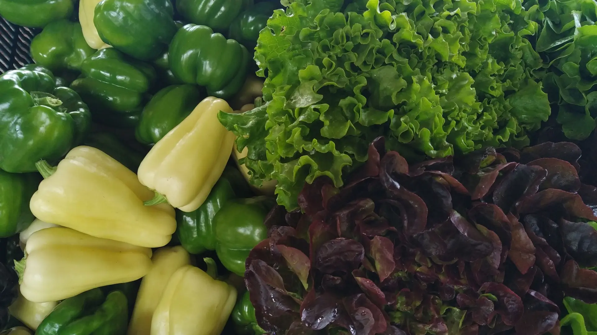 Légumes verts