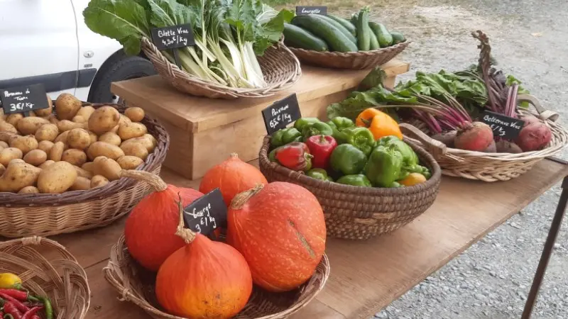 Les jardins de La Cueille stand marché 1