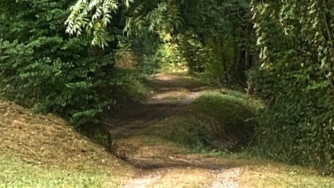 MANZAC SUR VERN-Tour du Freyrat-Chemin