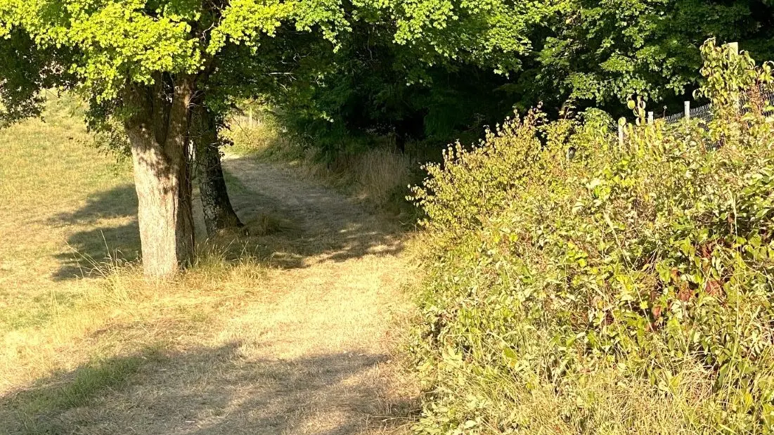 MENSIGNAC-Boucle des vergers-Chemin