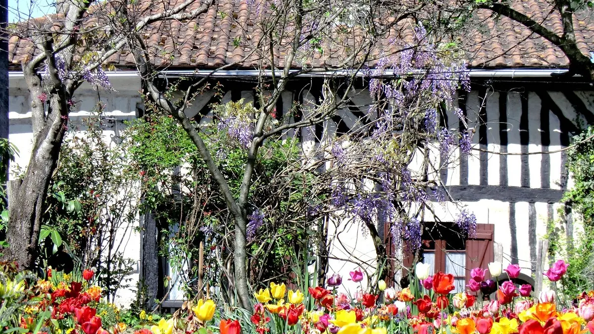 Maison pan de bois Saint Michel Léparon