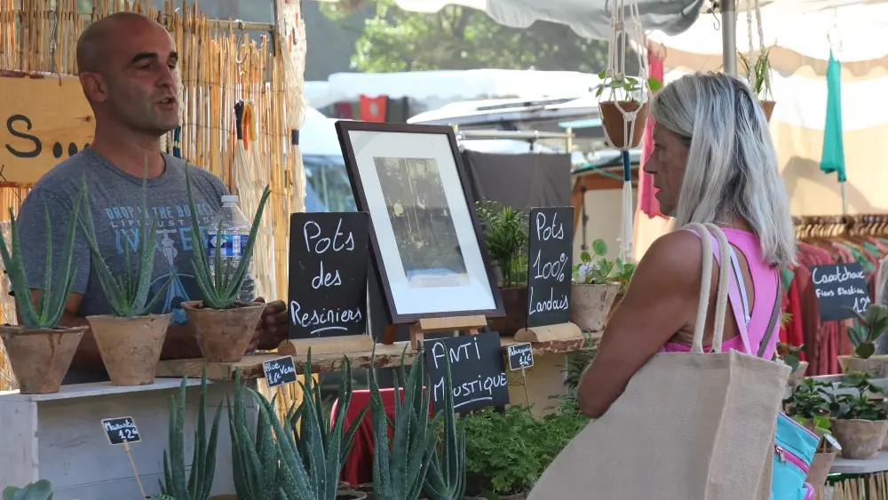 Marché saisonnier Seignosse