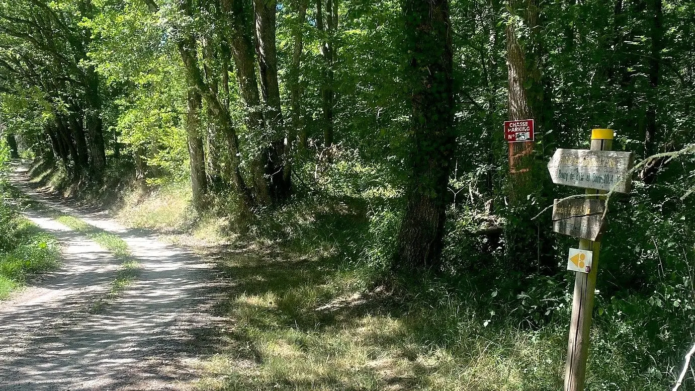 SAINT ANTOINE D'AUBEROCHE-Boucle des Picadis-Chemin