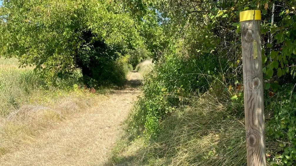 SAINT LAURENT DES BATONS-Boucle de Verdançon-Chemin-Poteau