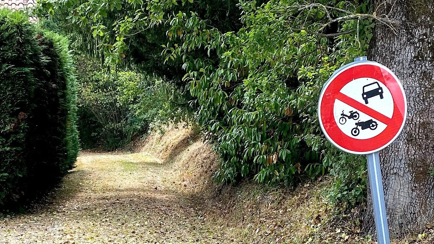 SAINT-PAUL-DE-SERRE-Boucle de Moncouche-Chemin