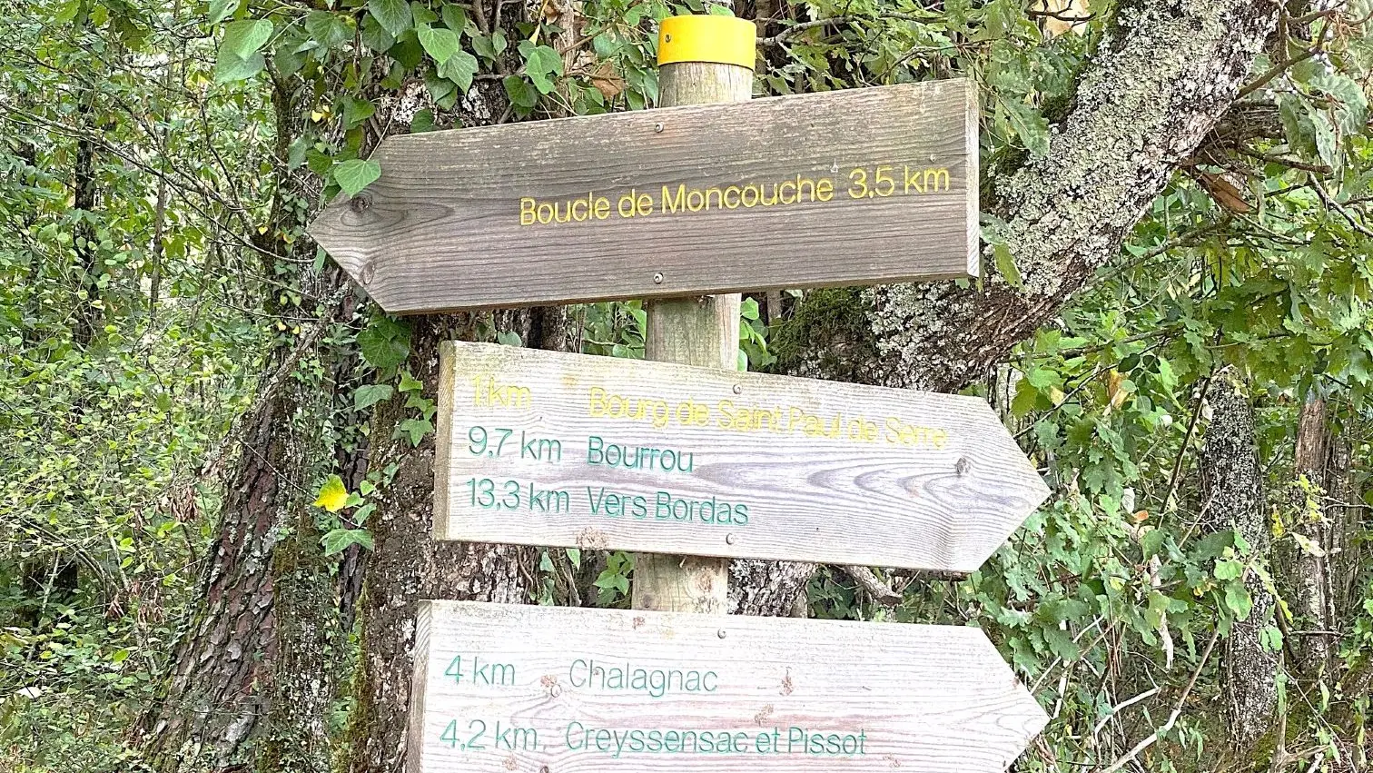 SAINT-PAUL-DE-SERRE-Boucle de Moncouche-Signalétique