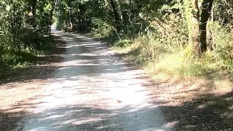 SAINT PIERRE DE CHIGNAC-Boucle de La Chapelle-Chemin