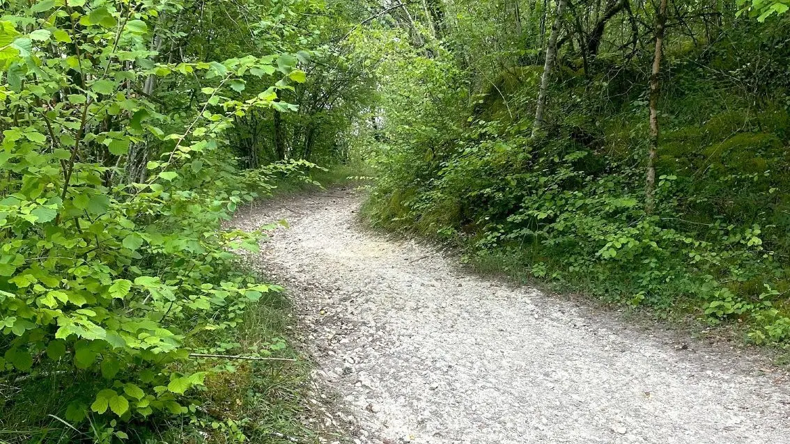 SARLIAC-Boucle des grands bois-Chemin
