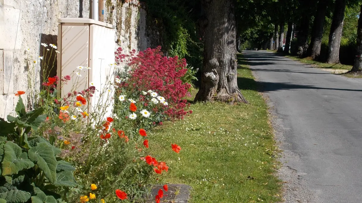 Périgord Inattendu - Village Fleuri Saint-Paul Lizonne